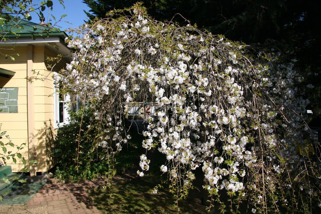 Carawatha Gardens Villa Bright Dış mekan fotoğraf