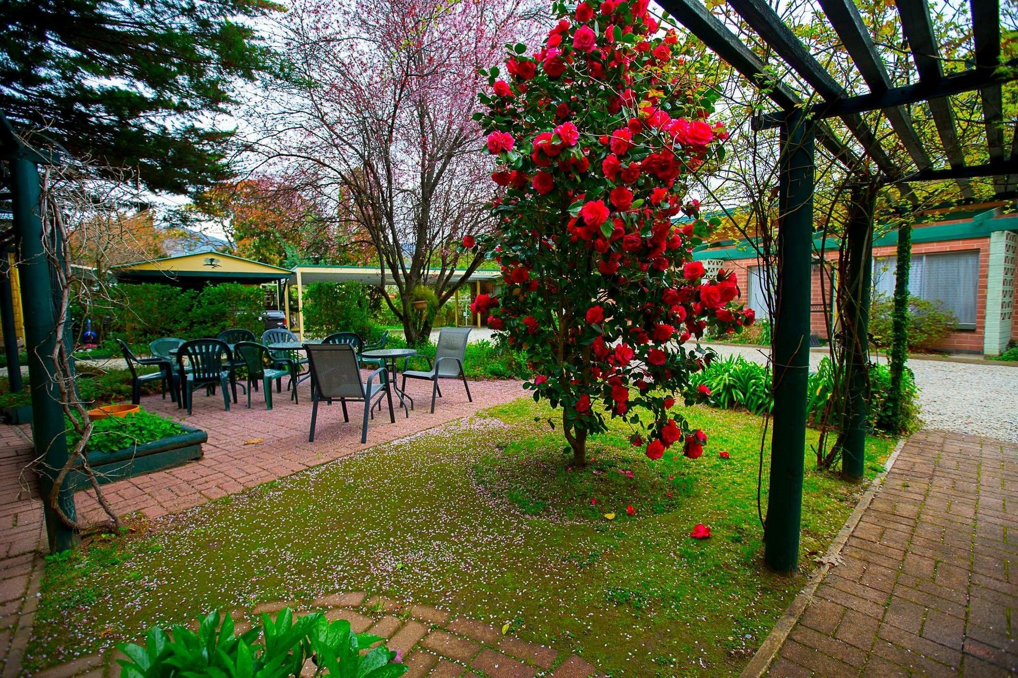 Carawatha Gardens Villa Bright Dış mekan fotoğraf